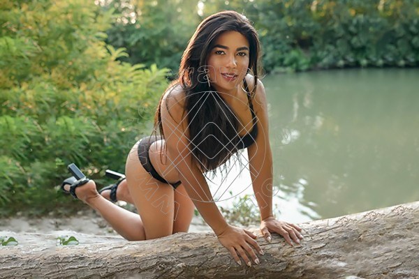 Foto 53 di Zaffira Dior trav Bologna