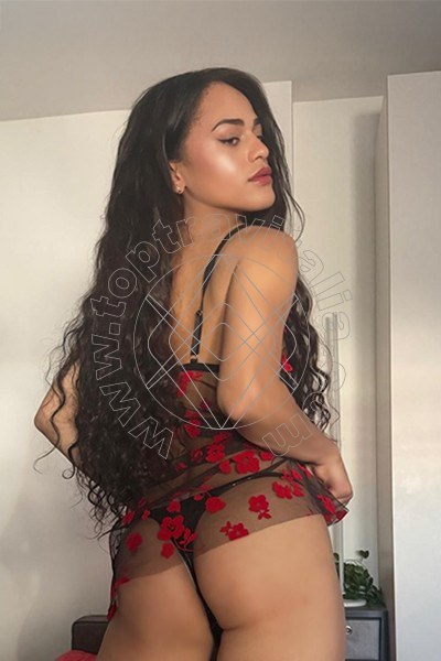 Victoria New BOLOGNA 3394337857