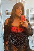  Verbania Diamond 350.9556564 foto selfie 2